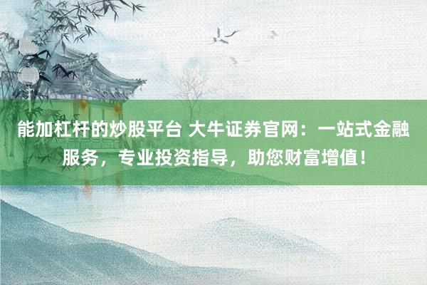 能加杠杆的炒股平台 大牛证券官网：一站式金融服务，专业投资指导，助您财富增值！