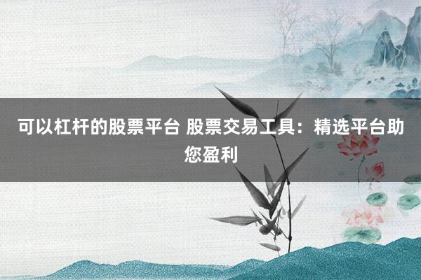 可以杠杆的股票平台 股票交易工具：精选平台助您盈利