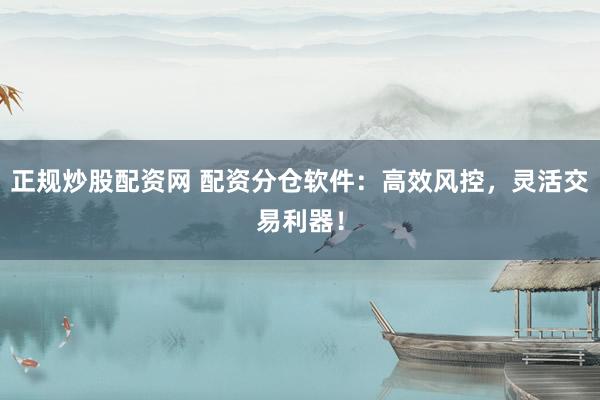 正规炒股配资网 配资分仓软件：高效风控，灵活交易利器！