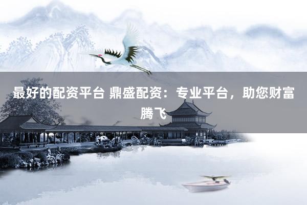 最好的配资平台 鼎盛配资：专业平台，助您财富腾飞