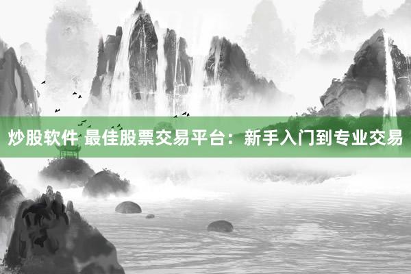 炒股软件 最佳股票交易平台：新手入门到专业交易