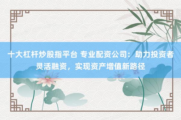 十大杠杆炒股指平台 专业配资公司：助力投资者灵活融资，实现资产增值新路径