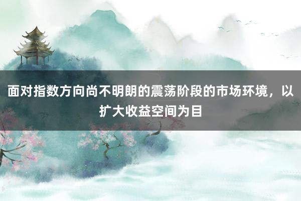 面对指数方向尚不明朗的震荡阶段的市场环境,以扩大收益空间为目