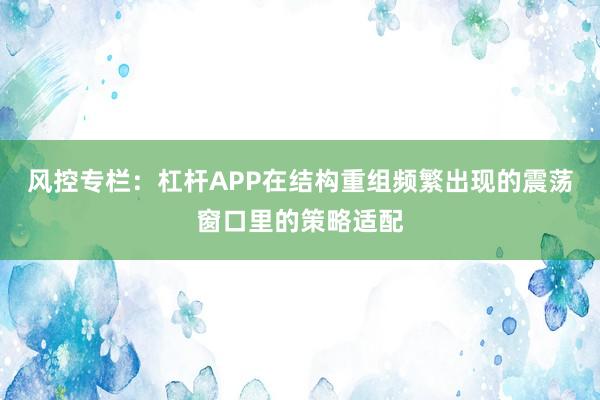 风控专栏：杠杆APP在结构重组频繁出现的震荡窗口里的策略适配