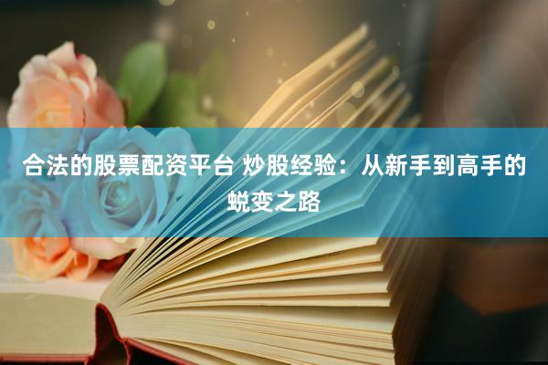 合法的股票配资平台 炒股经验：从新手到高手的蜕变之路