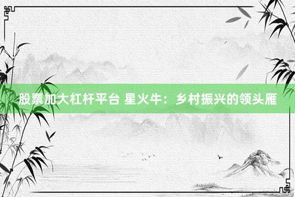 股票加大杠杆平台 星火牛:乡村振兴的领头雁