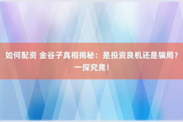 如何配资 金谷子真相揭秘：是投资良机还是骗局？一探究竟！