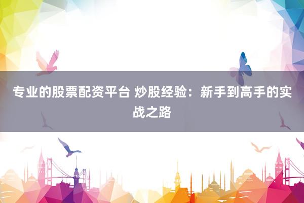 专业的股票配资平台 炒股经验：新手到高手的实战之路